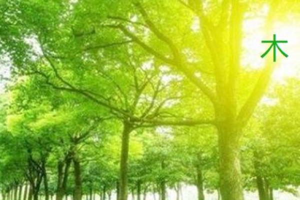 木命开车选择什么颜色？揭示意想不到的秘密