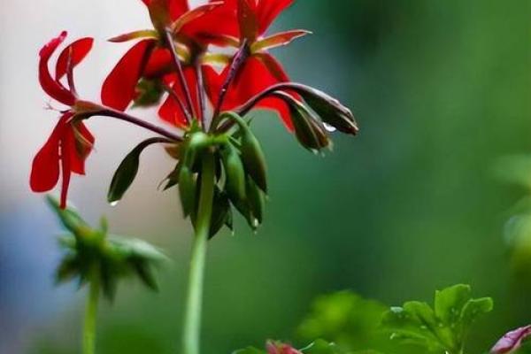 土水命之人究竟适合哪些职业，如何发挥优势？