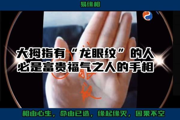 探秘手相中的凤眼：揭示命运与性格的奥秘