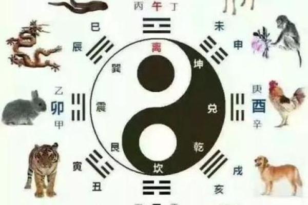 狗年属猪的命运解析：了解你的性格与未来机遇