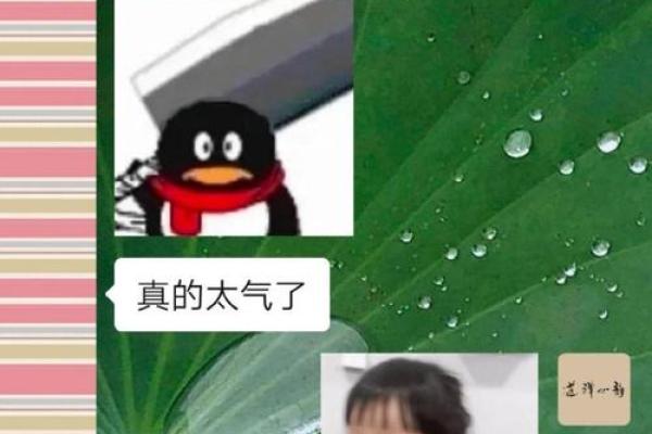 揭秘鸽子命的奥秘：算命中的独特命理解析