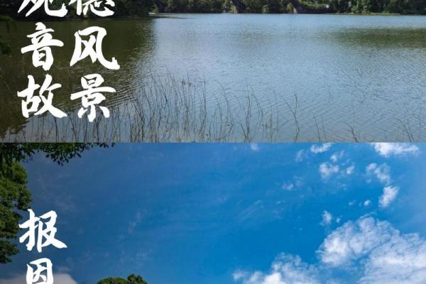 探寻观音命——揭示观音命的出生日期及其深刻含义