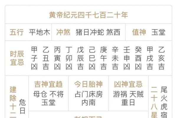 明年己亥年：探秘亥年的五行之道与命理启示