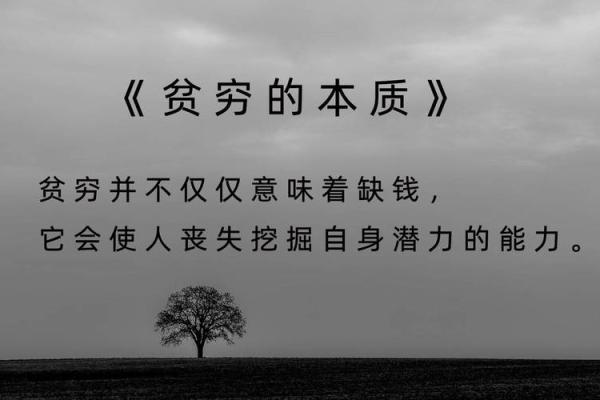 2026年属兔命运解析：未来的机遇与挑战揭示