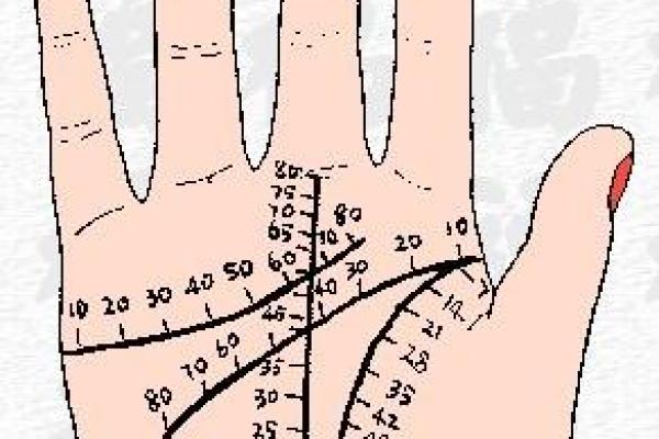 通过手相揭示你未来的命运：探秘掌中玄机