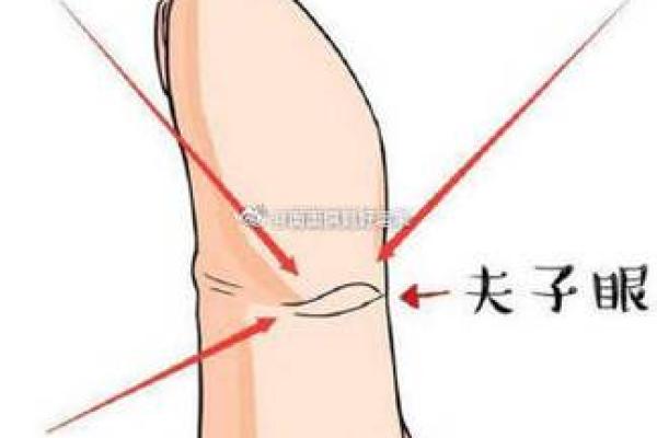 通过手相揭示你未来的命运：探秘掌中玄机