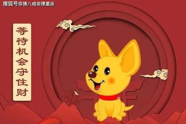 狗年腊月出生宝宝的命理解析：属什么命，如何开运？