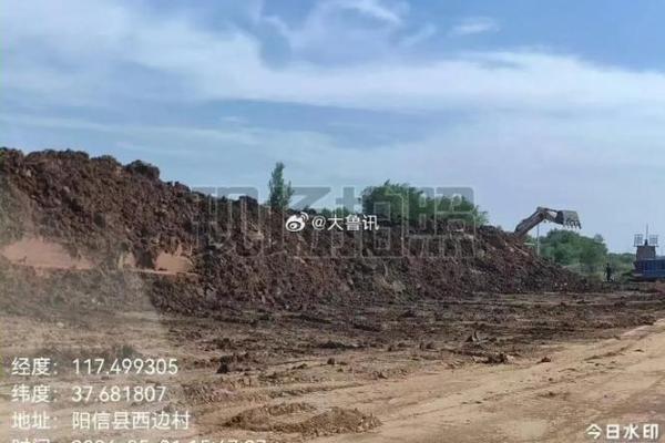 土命中最佳土壤的探索：强韧与包容的生命之源