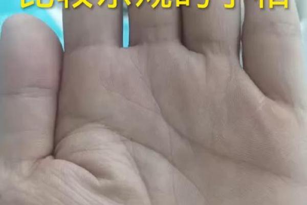 手掌中的秘密：探索手掌杂文所揭示的命运之谜