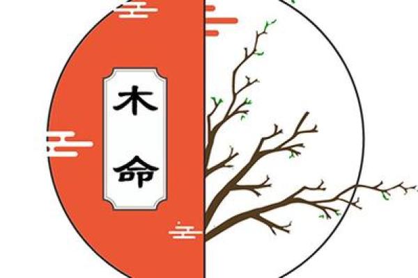 1971年木命的探秘：探究木命之人的个性与命运