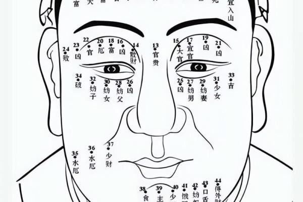 解锁男人面相：揭秘最幸运男人的面部特征与命运法则