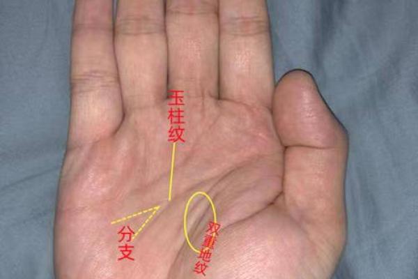 解读手纹：晚婚命纹与爱情的神秘联系