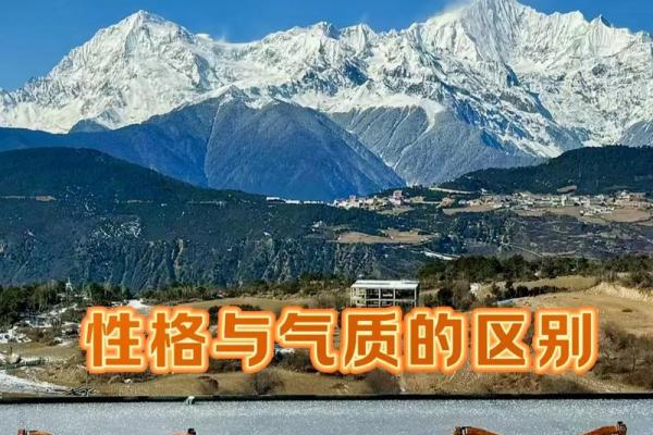 1968年阴历属猴：揭秘你的命运与性格魅力