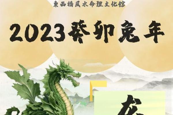 2024年生肖大揭秘：水命生肖的运势与未来展望！
