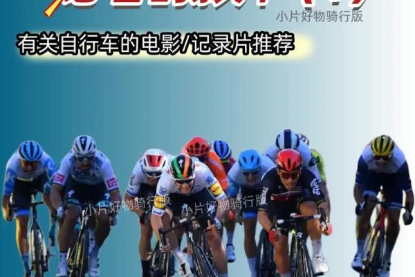 适合木命人骑行的单车颜色与魅力探讨