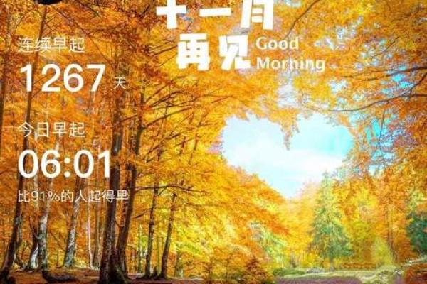 探索命运：37年11月出生的人生旅程与性格特点