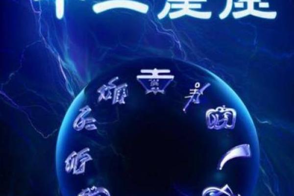命硬的人忌讳什么生肖？解密生肖与命运之间的奥秘