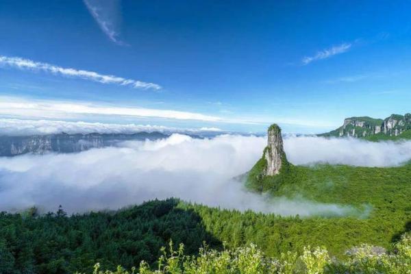 一百零八岁是什么命：探寻长寿背后的秘密与智慧