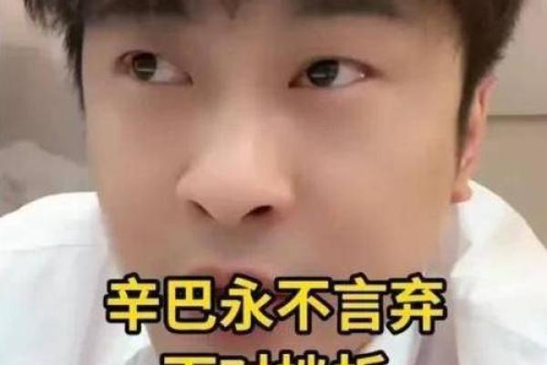 七五行属性命理解析：寻觅自我之路，探索命运之美