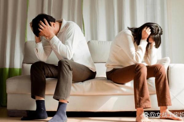 单身女人的命运与内心世界：解读属于她们的生命篇章