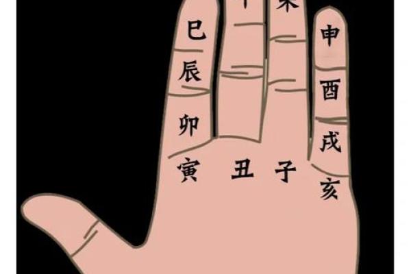 深入解析男命地支丑的象征意义与人生影响