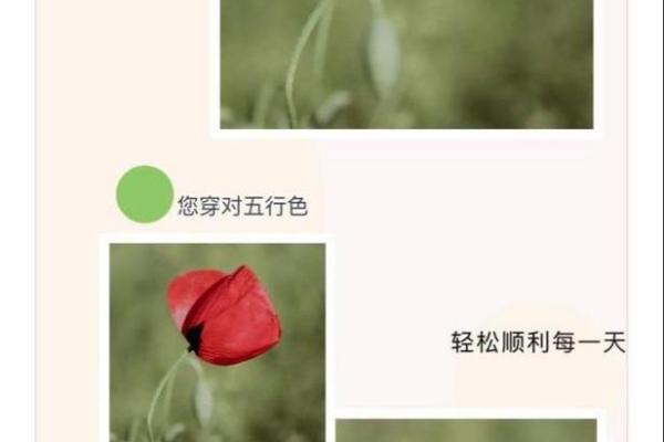 命理属水：色彩与运势的微妙联系