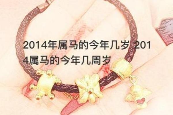 2018年属马人的命运与机遇解析：如何把握人生转折点