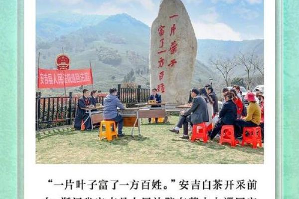 铭记1972年8月：探索人类与自然的和谐之路