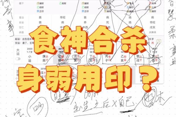 探秘1999年女兔的命理特征与命运解析