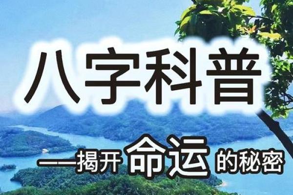 算命揭秘：你我命运的密码与解读之道