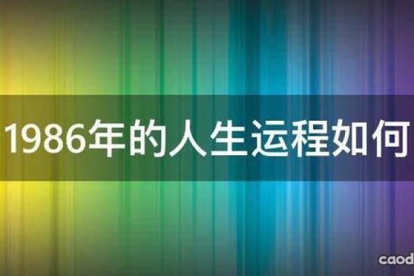 1986年出生的人是什么命？揭开命运的神秘面纱