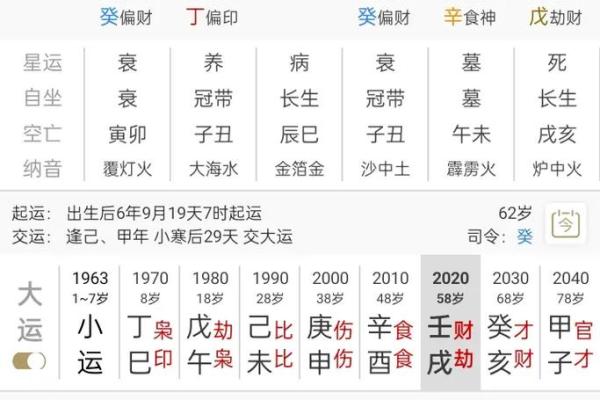 1981年属鸡的命运与生活解析：八字命理与人生智慧