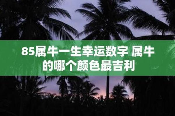 揭秘白蜡金属木命的秘密：命理与运势的完美结合