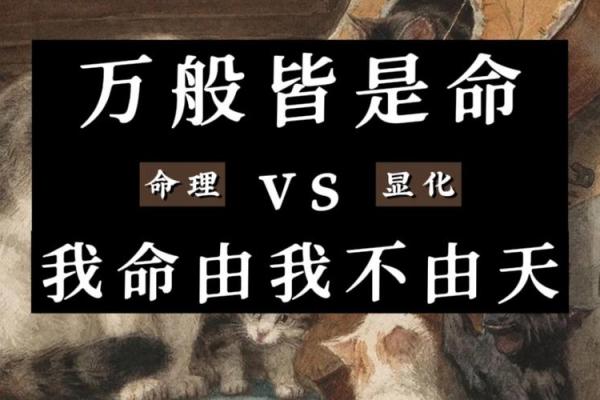 路旁土命女孩最忌哪些？揭秘命理背后的秘密与禁忌
