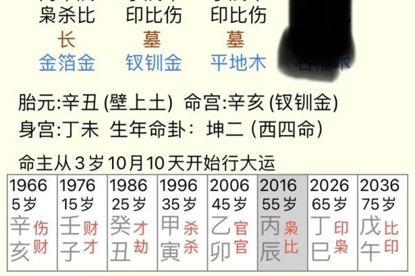 1996年腊月出生者的命理与人生智慧