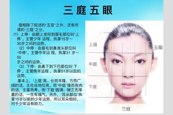 女人眉毛太长的命运解析：美丽与运势的微妙关联