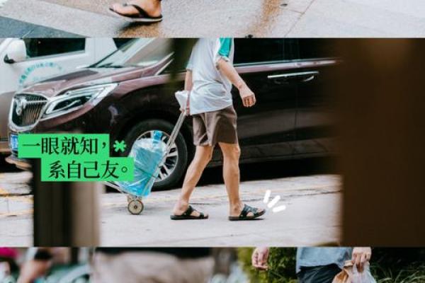 冬季卖蒲扇：从热到冷的生意逆袭之道