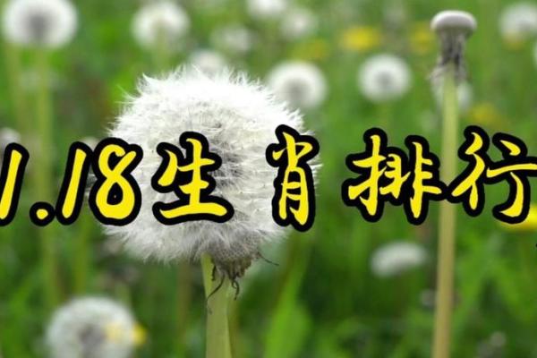 探秘九五年属狗命运：性格、事业与情感的深度解析