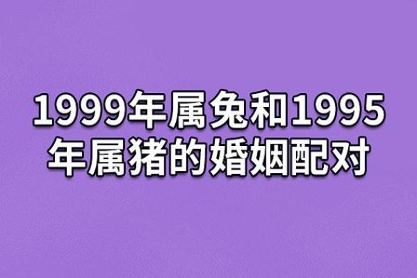 69年属猪的五行命运解析与生活启示