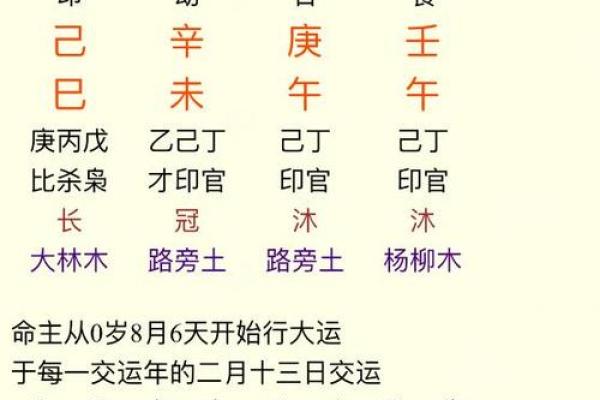 69年属猪的五行命运解析与生活启示