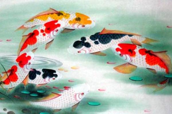 火命人的风水鱼选择：点燃好运的水中伴侣