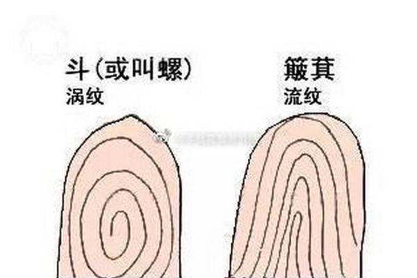 手指缺失命理解析：揭秘人生的独特密码