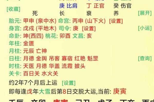 1991年正月20日：探索命运与人生的启示之旅