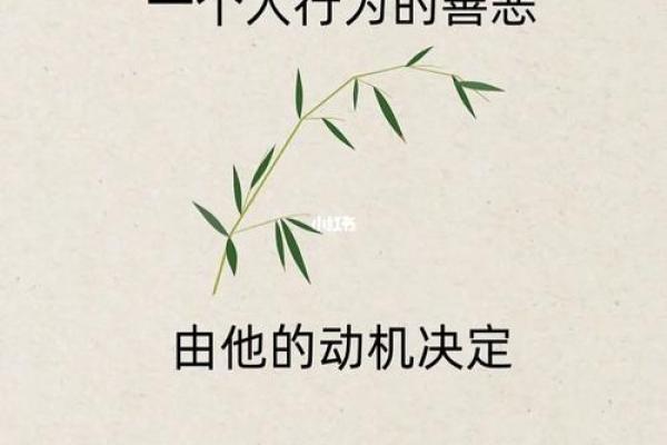 71年出生的人命理揭秘：如何把握人生的每一个机遇