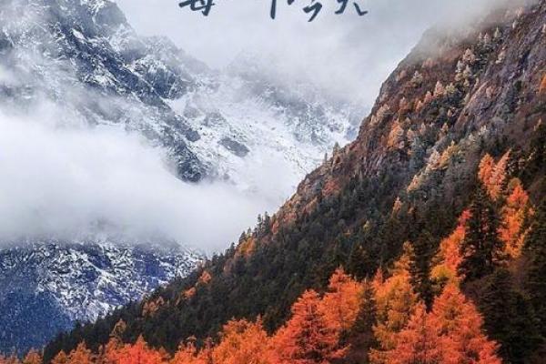 71年出生的人命理揭秘：如何把握人生的每一个机遇