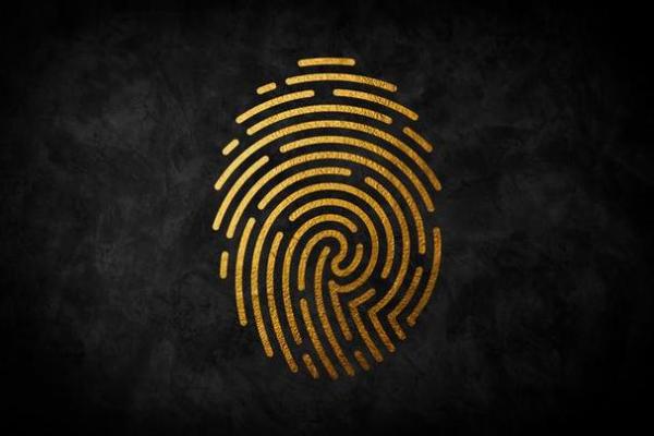 探索手纹路的奥秘：命运的隐秘符号