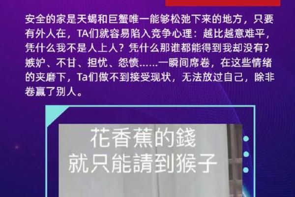 揭示星座与当官命格的神秘关联，揭秘你是否适合权力的天赋！