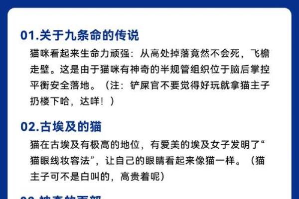 揭开命运的神秘面纱：什么命最为命大？