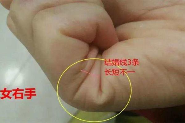双手并拢有缝的秘密：揭示手相与命运的奥秘