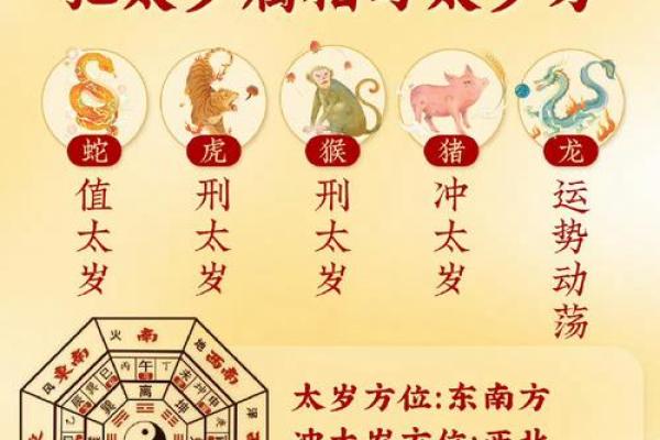 探寻命理之道：揭秘如何根据属相找到人生规律